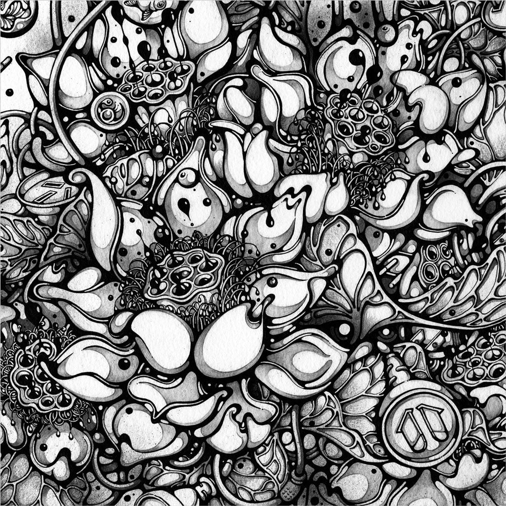 Kari-No-Yo (Transient World)