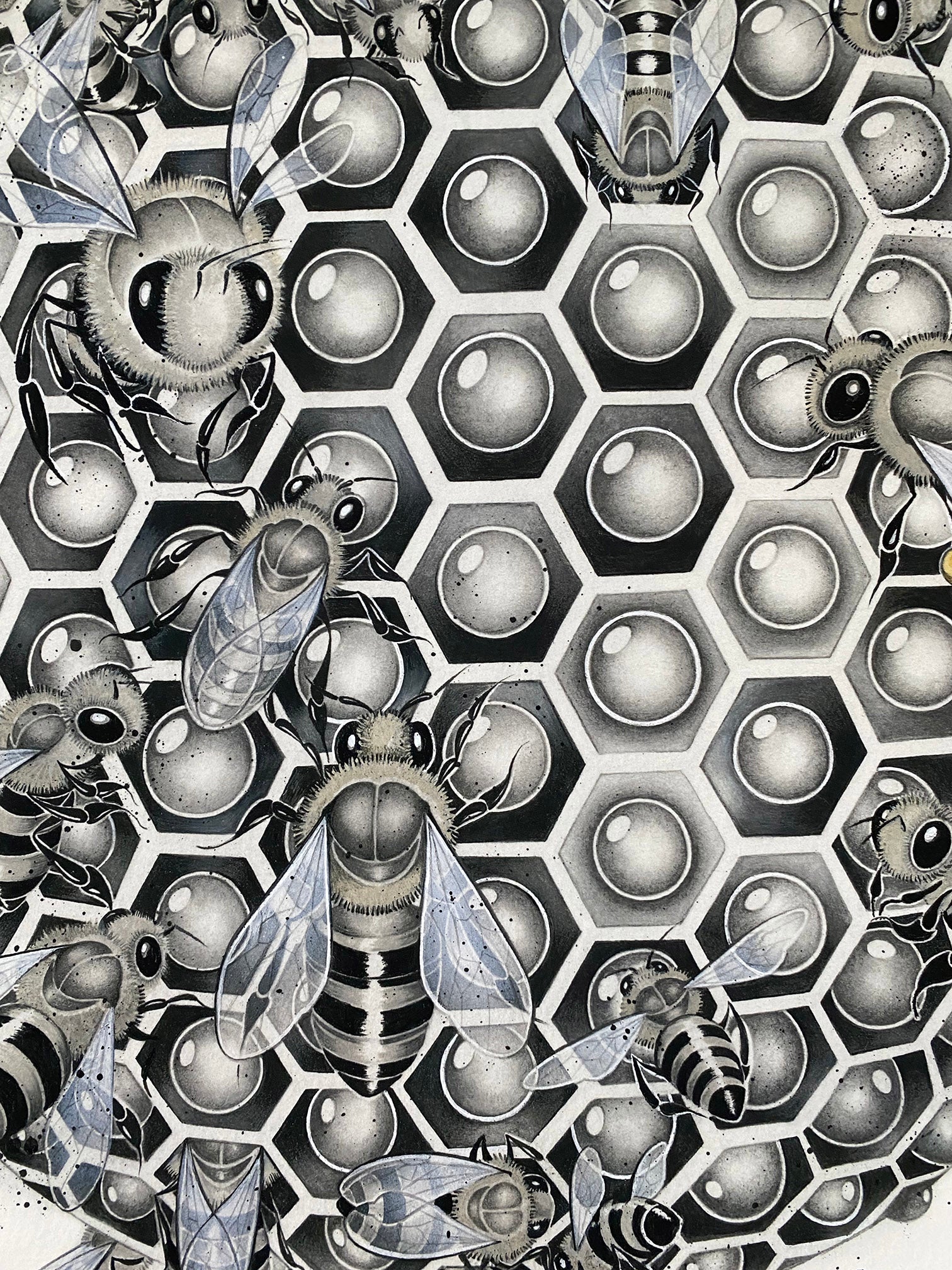 Headcase Series - BEE