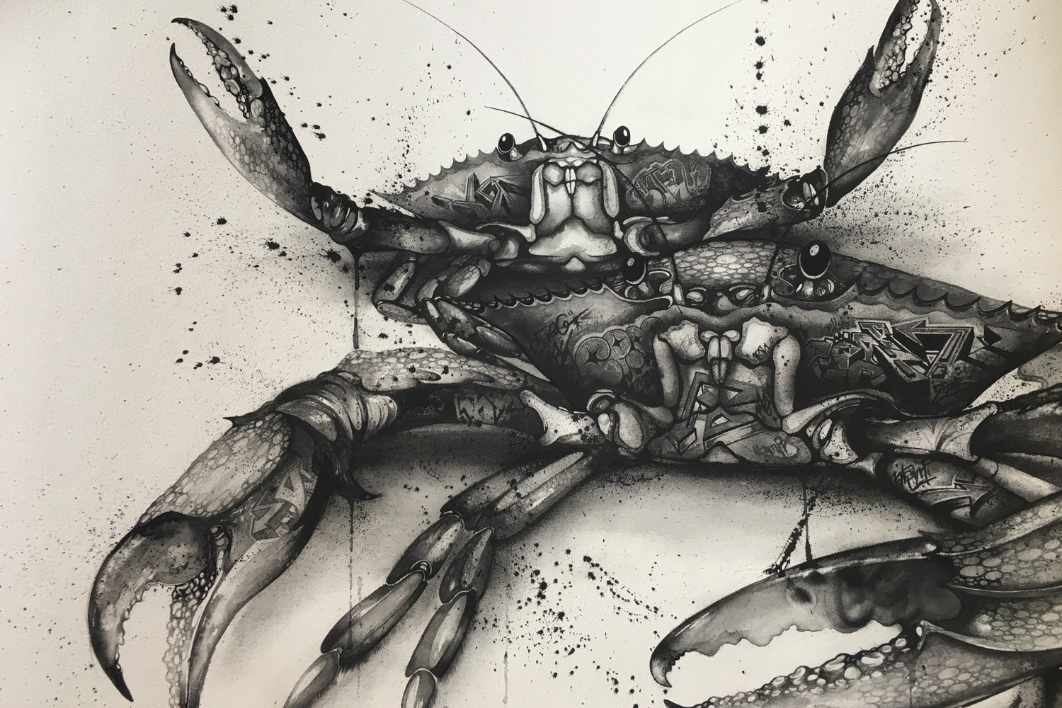Arthropods of Anarchy (series) - Crab