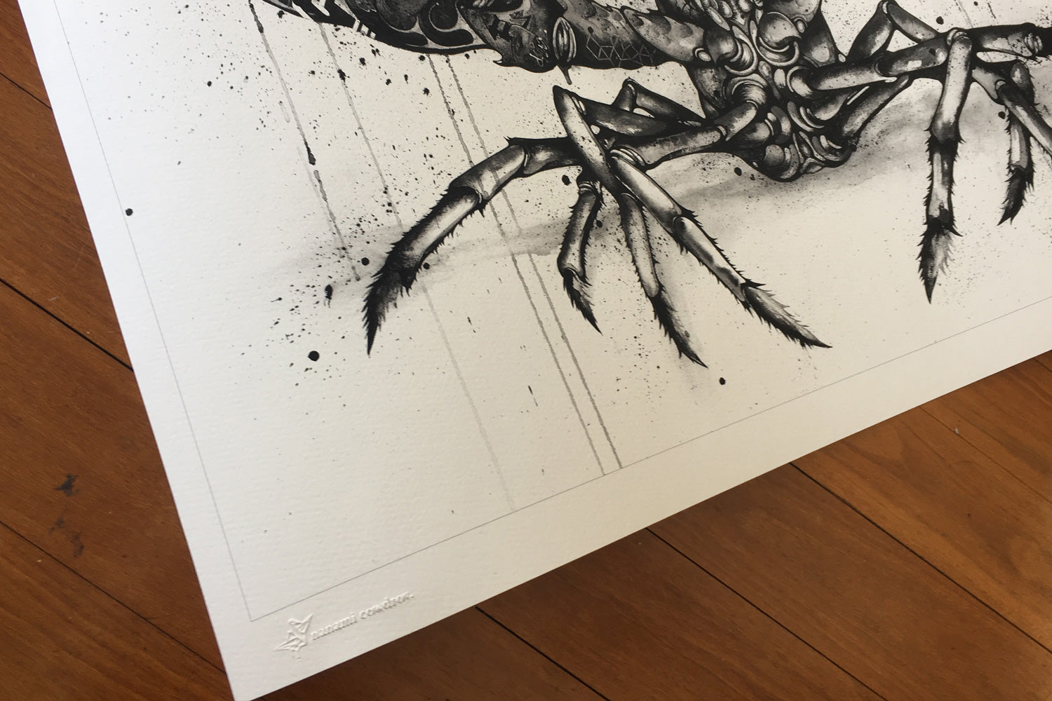 Arthropods of Anarchy (series) - Lobster