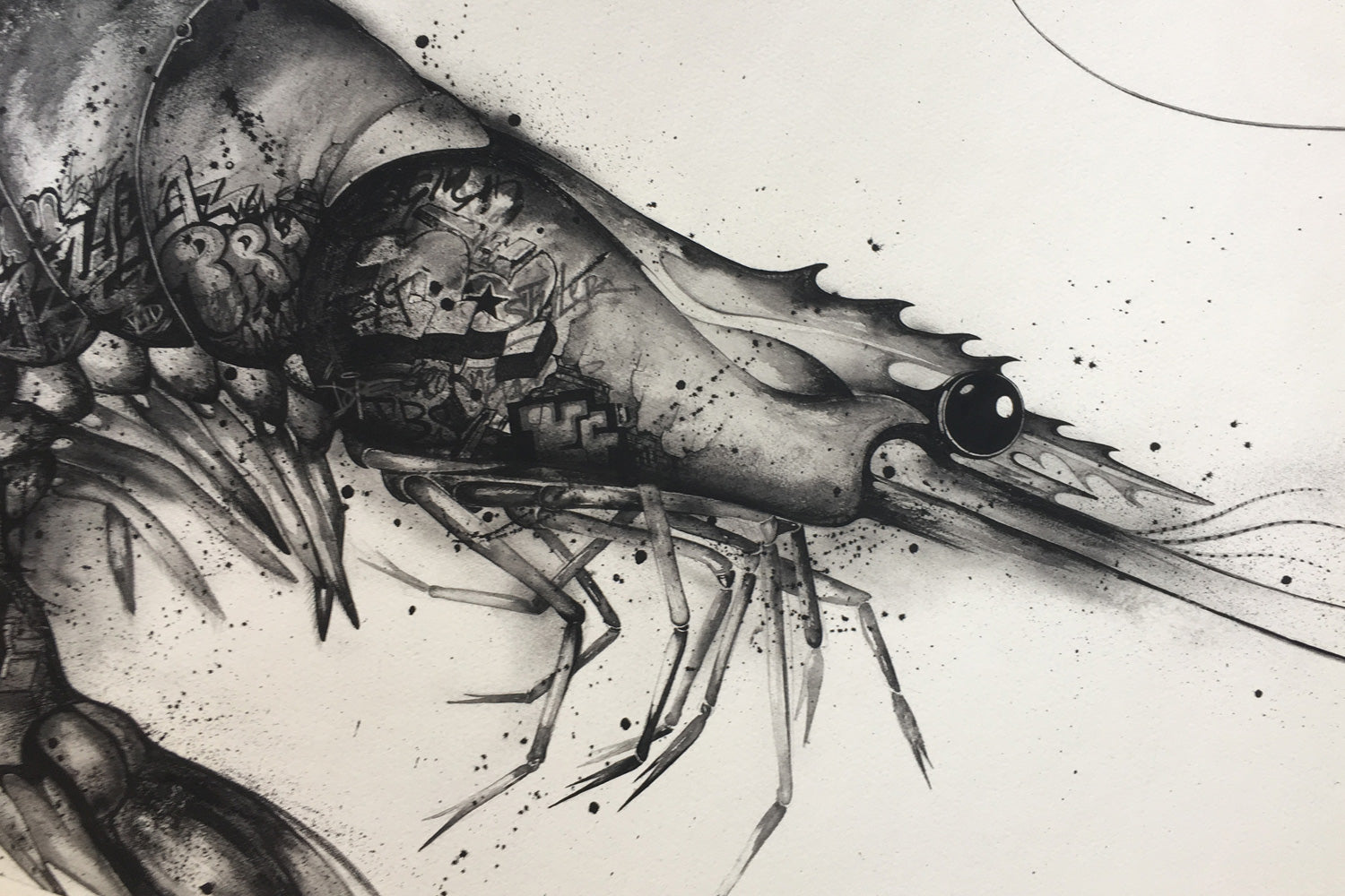 Arthropods of Anarchy (series) - Prawn